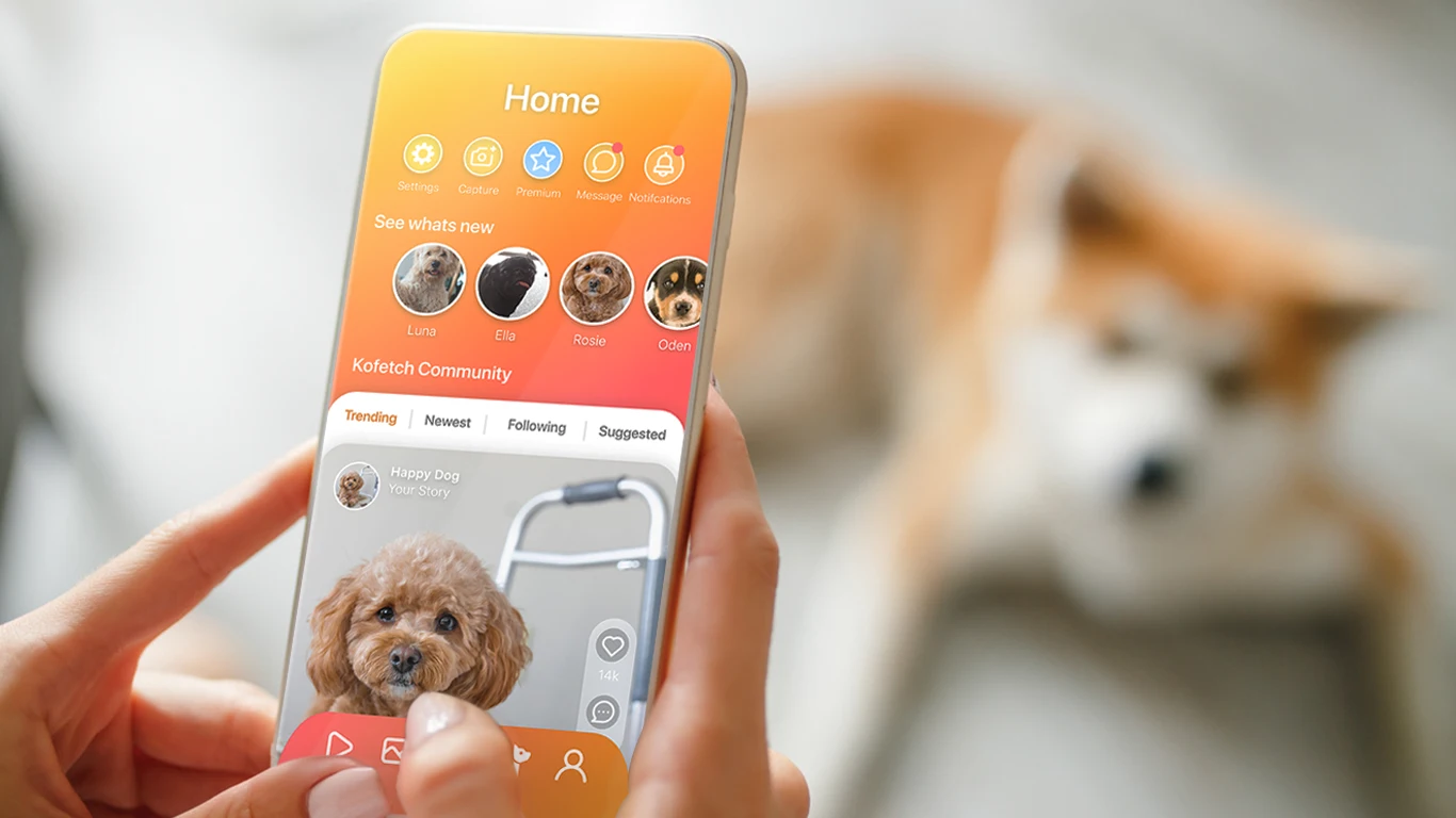 Kofetch App design and development by idea Developments